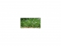 Preview: Photo Background - meadow - 20x10